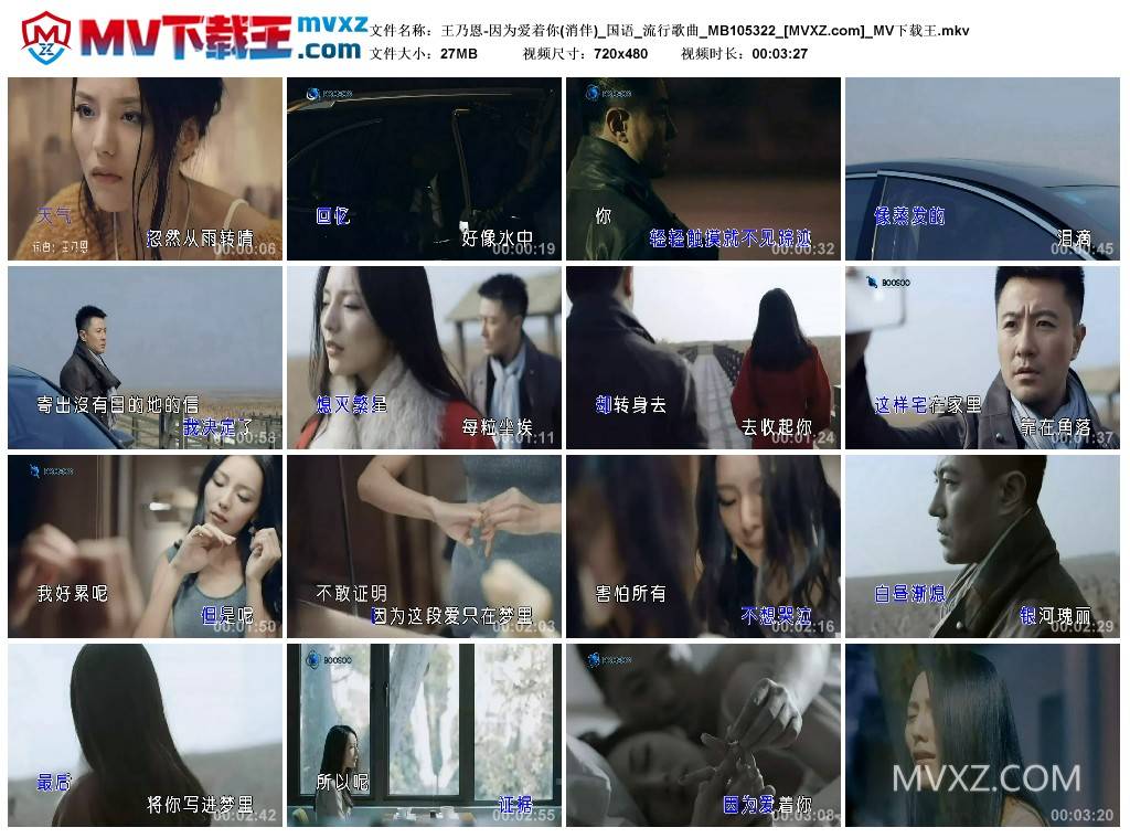 王乃恩-因为爱着你(消伴)_国语_流行歌曲_MB105322